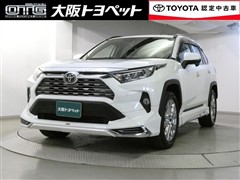 RAV4 G Zパッケージ
