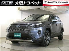 RAV4 HV G