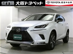 NX300 スパイス&シック