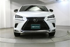 NX300 スパイス&シック