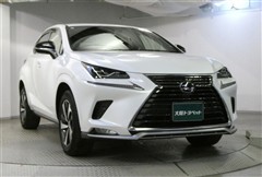 NX300 スパイス&シック