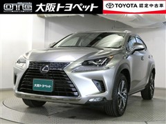 NX300h Iパッケージ