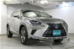 NX300h Iパッケージ