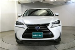 NX300h バージョンL