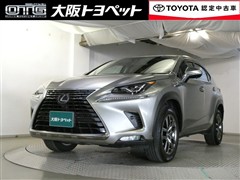NX300h バージョンL