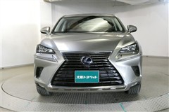 NX300h バージョンL