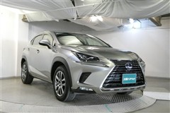 NX300h バージョンL