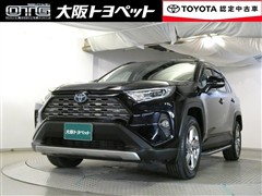 RAV4 HV G