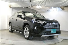 RAV4 HV G