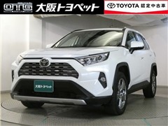 RAV4 G
