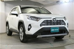 RAV4 G