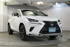 NX300 スパイス&シック