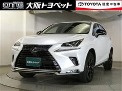 NX300 スパイス&シック