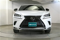 NX300 スパイス&シック