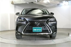 NX300 Iパッケージ