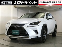 レクサス　NX300 Iパッケージ