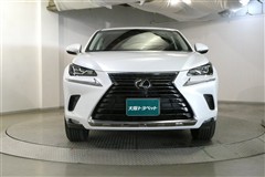 NX300 Iパッケージ