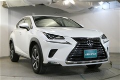 NX300 Iパッケージ