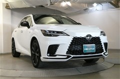 RX500h Fスポーツ パフォーマ