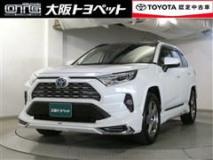 RAV4 HV G