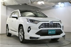 RAV4 HV G