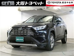 RAV4 G
