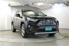 RAV4 G