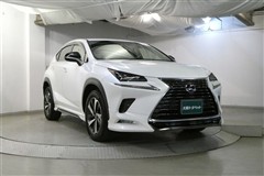 NX300 Iパッケージ