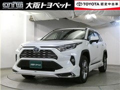RAV4 HV G