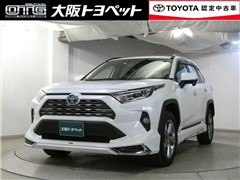 RAV4 HV G