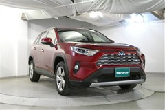 RAV4 HV G