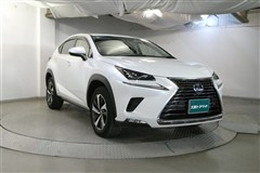 NX300h バージョンL