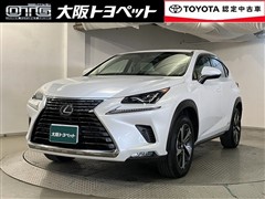 NX300h バージョンL