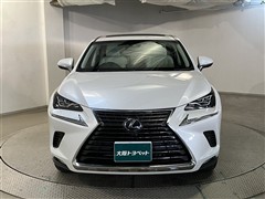 NX300h バージョンL