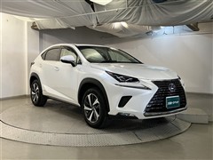 NX300h バージョンL