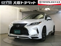 RX300 バージョンL