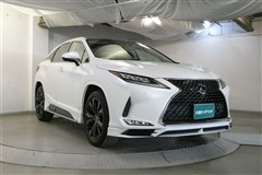 RX300 バージョンL