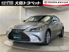ES300h ヒョウジュンシャ