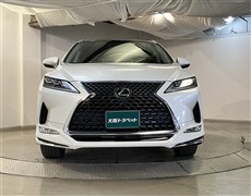 RX300 バージョンL