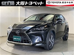 NX300h Iパッケージ