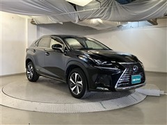 NX300h Iパッケージ