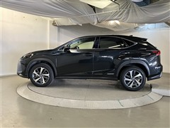 NX300h Iパッケージ