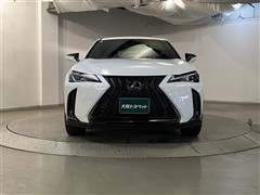 UX250h Fスポーツ