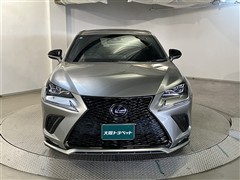 NX300h Fスポーツ