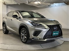 NX300h Fスポーツ
