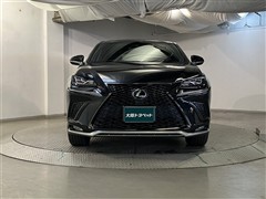 NX300 Fスポーツ