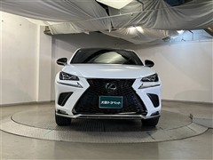 NX300 Fスポーツ