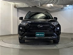 RAV4 アドベンチャー オフロート