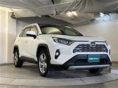RAV4 G