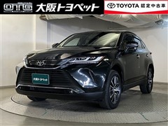 ハリアー G レザーパッケージ